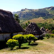 View album