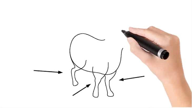 How to Draw a Cow Drawing.
