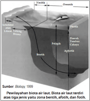 Biosiklus Air Asin