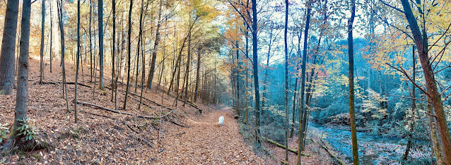 A panoramic view of the trail with the red, brown, and yellow on the left from the trees and the shadowy river on the right as the sun set behind the mountain towering above the river.