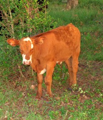 P7111028