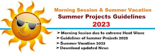 Summer Projects Guidelines 2023