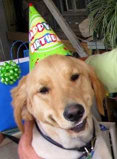 Scout looking all 'aw shucks' over the attention he's getting at his birthday party