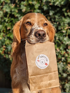 Eko the Golden Cocker Spaniel sitting in front of a wall of ivy holding in his mouth a brown paper bag with a Collar Club sticker on the front which contains dried spratts