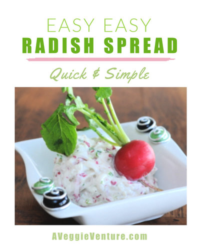 Easy Easy Radish Spread, another simple vegetable starter ♥ AVeggieVenture.com, just radishes, green onion and cream cheese. Creamy with a little bit of radish heat!