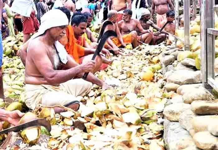 Kottiyoor, News, Kerala, Temple, Ilaneer Abhishekam at Kottiyoor in a devotional atmosphere.