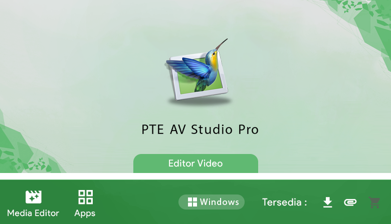 Free Download PTE AV Studio Pro 11.0.3.1 Full Latest Repack Silent Install