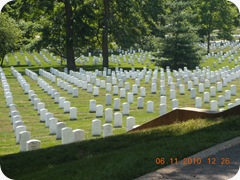 DSCN8769