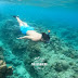 Moalboal Cebu Travel Guide: Sardine Run and More Sea Activities