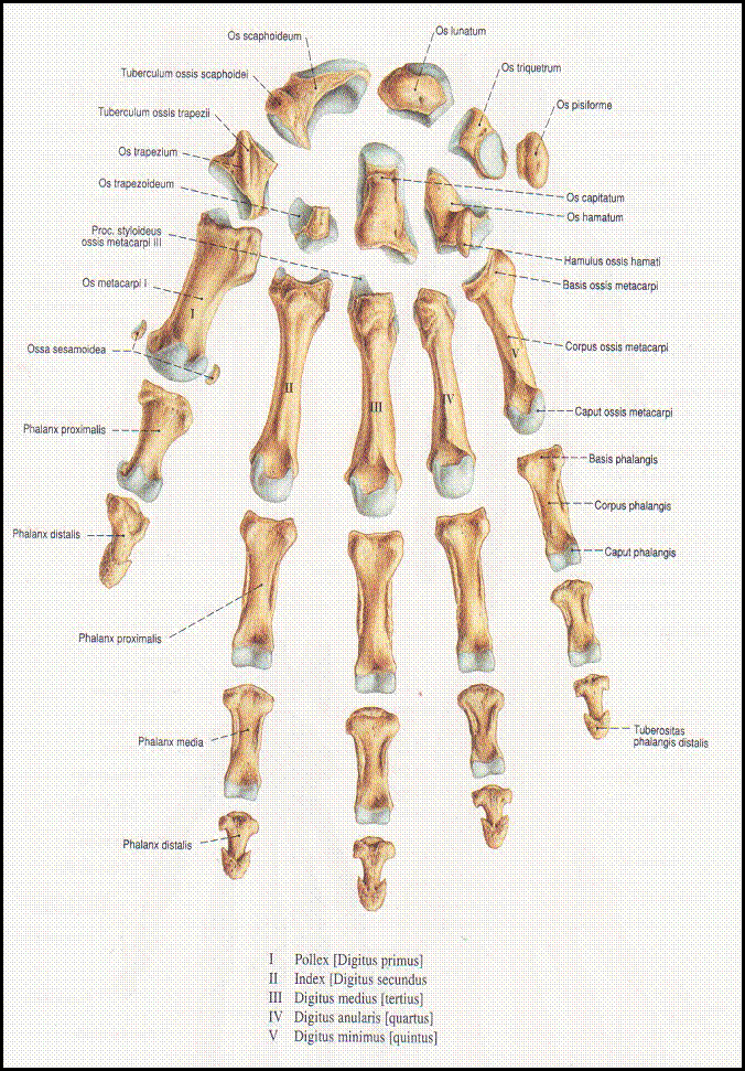 clip_image002[23]