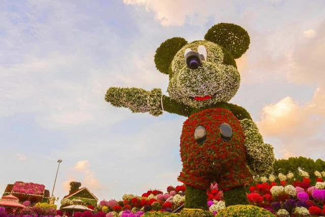 Dubai Miracle Garden