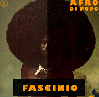 (Afro House) Afro Dj Pupo - Felony (Original Mix) (2016)