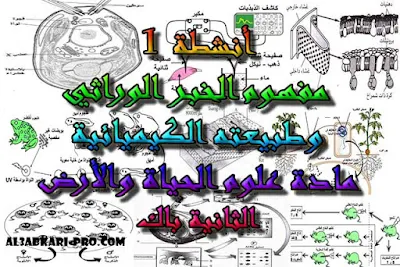 تحميل أنشطة 1: مفهوم الخبر الوراثي وطبيعته الكيميائية للسنة الثانية باك , درس , ملخص , تمارين , امتحانات وطنية علوم الحياة والارض , علوم الحياة والارض , فروض علوم الحياة والارض , الثانية باك , بكالوريا , دروس اونلاين