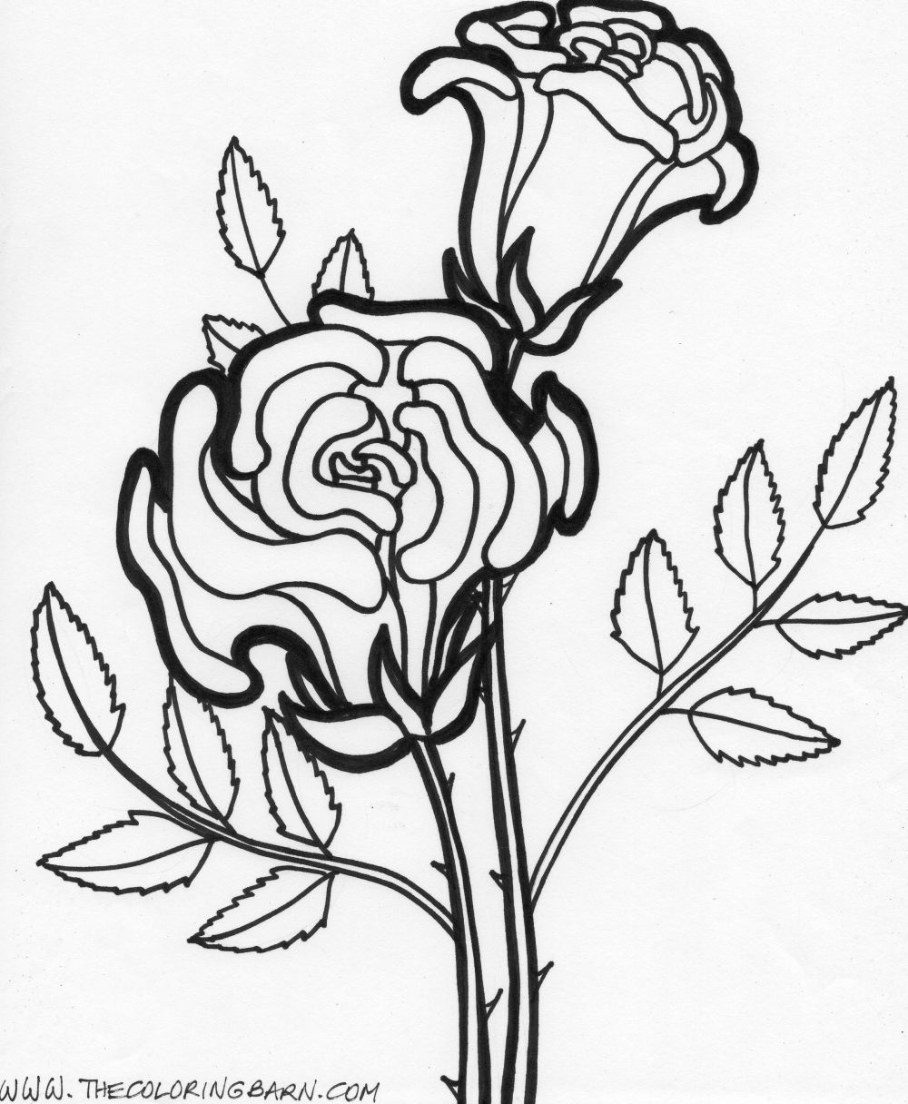 Flower Coloring Sheets 6