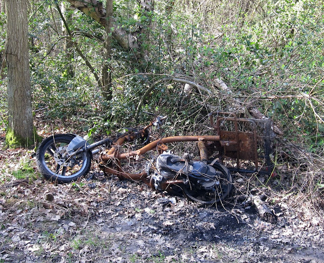 A discarded bike in Sparrow Wood.