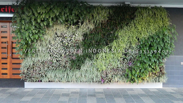 VERTICAL GARDEN INDONESIA SPESIALIS JASA PEMBUATAN VERTICAL GARDEN DI PATI JAWA TENGAH DAN DI SELURUH WILAYAH JAWA TENGAH DENGAN TENAGA YANG PROFESIONAL DAN DAPAT DI PERCAYA YANG SELALU MENGUTAMAKAN SEBUAH MUTU DAN KUALITAS PEMASANGAN VERTICAL GARDEN/TAMAN DINDING, JASA TUKANG TAMAN VERTICAL PATI JAWA TENGAH, JASA VERTICAL GARDEN PATI JAWA TENGAH