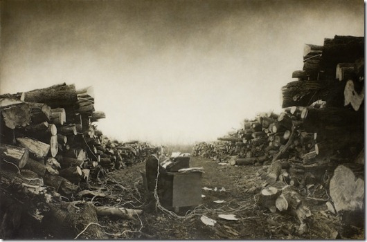 Robert and Shana parkeharrison (48)[4]