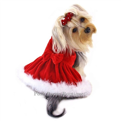 Elegant Red Velour Furry Dress