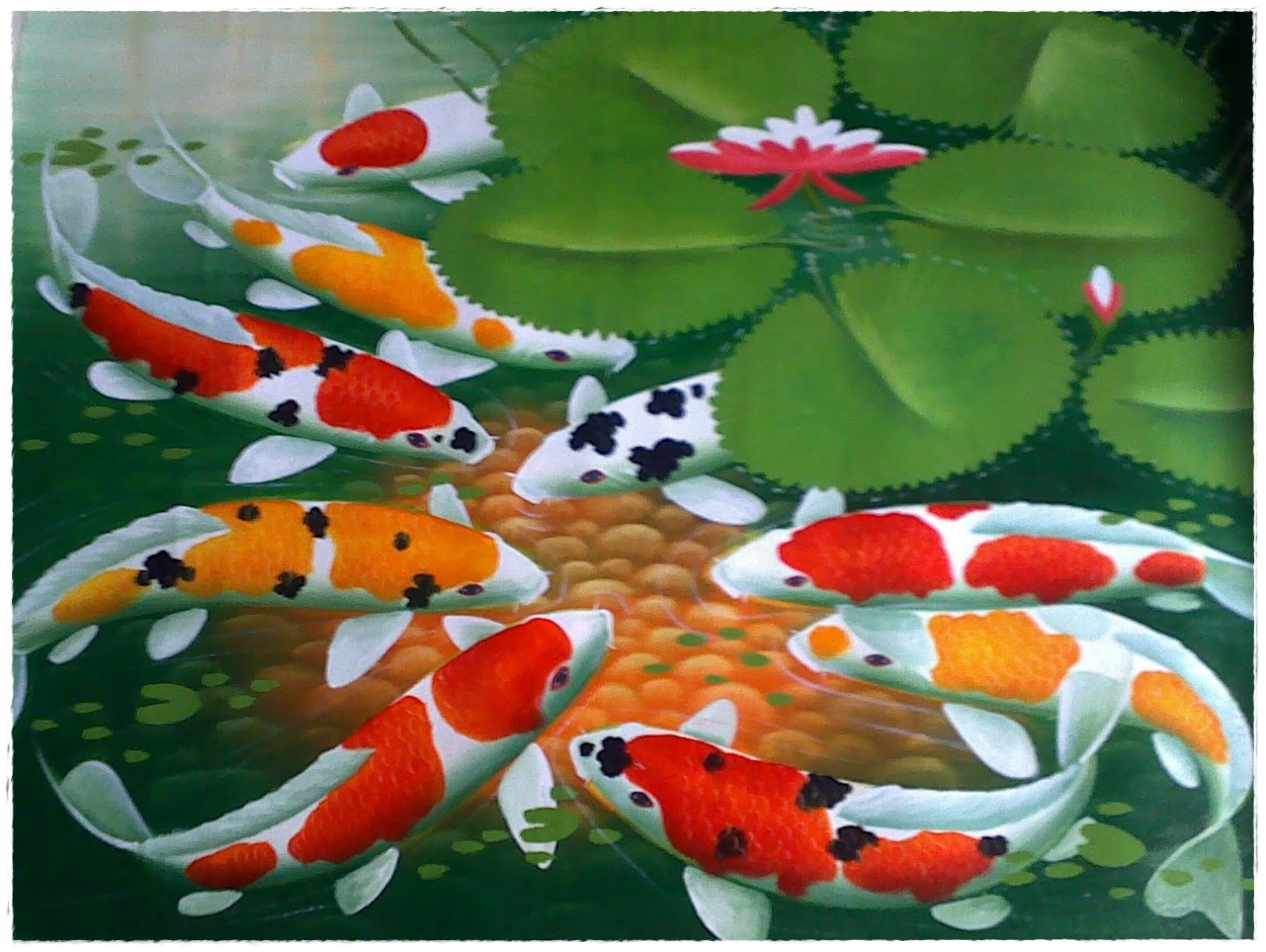 Gambar Photo Frame Wallpapers Vector Fish Ikan Koi Animasi 