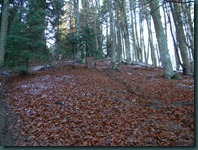 DSCN0408