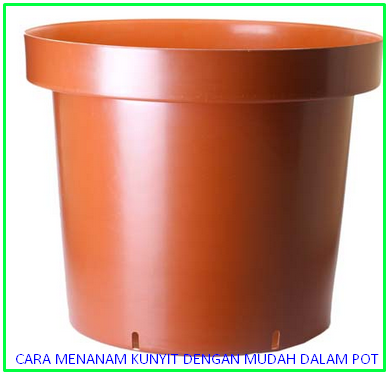 cara-menanam-kunyit-dengan-mudah-dalam-pot