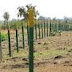 Lonavala 25 Acres Plot For Sale at (8.75 cr) Village Gevande Apti, Taluka: Maval,Lonavala, Mumbai, Maharashtra