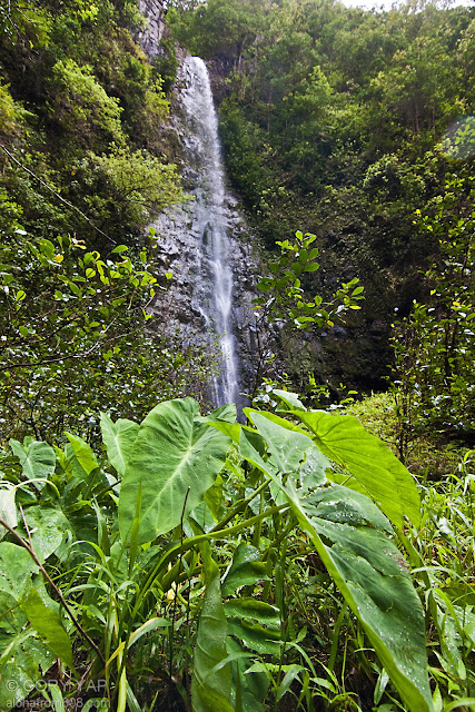 cachoeira