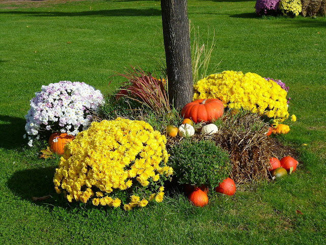 Creative Flowers for Flower Exhibition