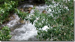 IMG_5359 (640x330)