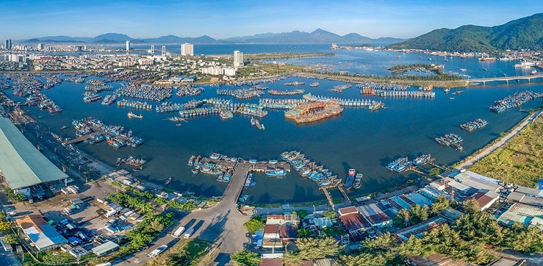 Photographers Capture Bustling Tho Quang Fishing Wharf