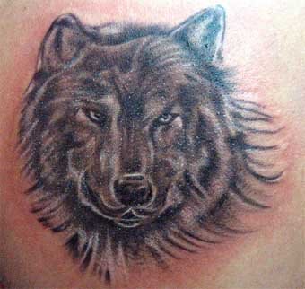 Wolf Tattoos on Wolf Tattoo Picture Gallery   Wolf Tattoo Ideas