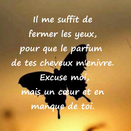 Message D Amour Tu Me Manque