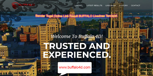 Bandar Togel Online Link Result BUFFALO Livedraw Tercepat