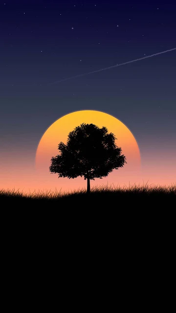 Sunset Tree Mobile Wallpaper HD