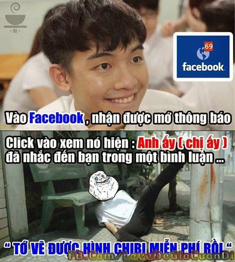 Giay dan tuong