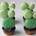 HOW TO MAKE THE SPINY CACTUS FRENCH MACARON