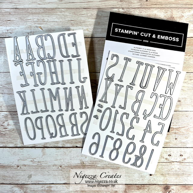 Stampin' Up! Unboxing New Mini Catalogue Goodies & SAB