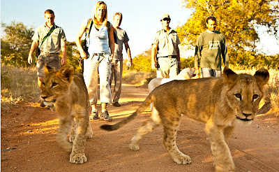 kruger national park africa