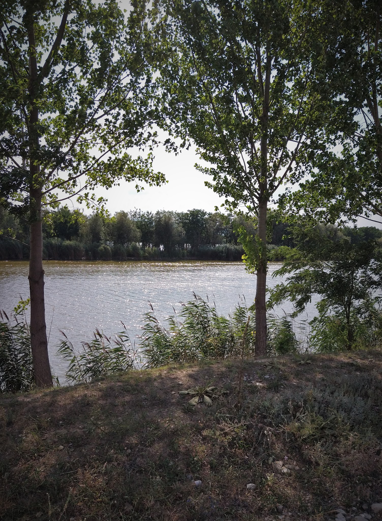 Pauza de bicicleta pe langa Orbeni, Bacau