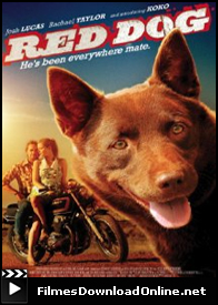  Red Dog