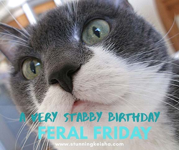 Feral Friday A Very Stabby Birthday