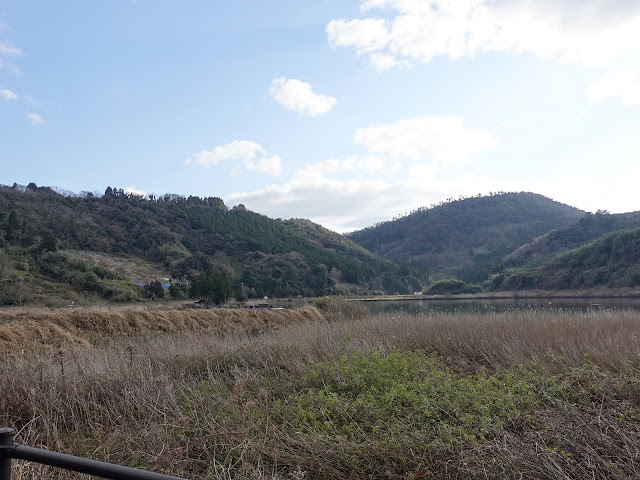 湯梨浜町宮内（県道234号東郷羽合線）からの眺望