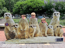 Gone Zooing