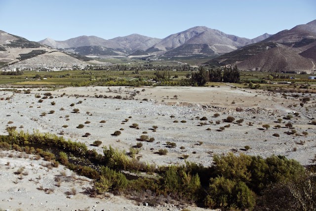 Webinar Modernización de los regadíos: La apuesta tecnológica más importante del campo español en la última década