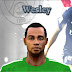 Face Wesley (Palmeiras) 2013 by Dione