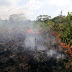 Incêndio destrói área verde em Parintins (AM)