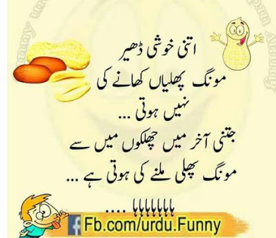 Funny Whatsapp Status Quotes in Hindi and Urdu with Images ...