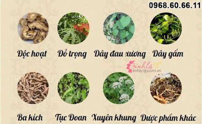 Thành phần thuốc Cốt khí long 