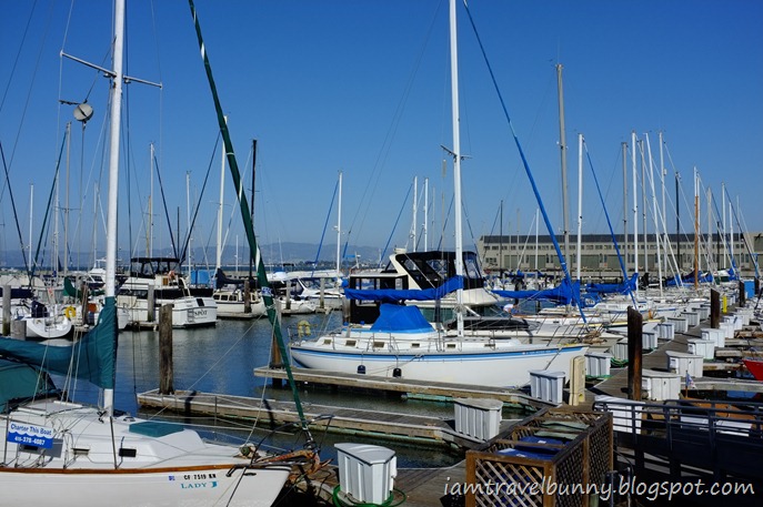 DSCF4034