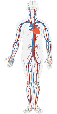 which blood pressure is normal